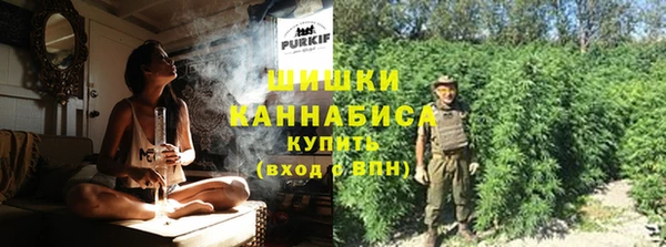 амф Бронницы