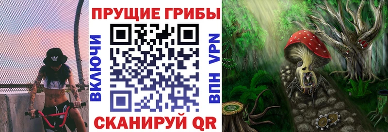 Купить  Вышний Волочёк  Псилоцибиновые грибы мухоморы 