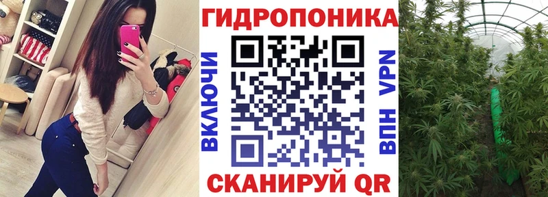 Купить закладки  Вышний Волочёк  МАРИХУАНА индика 